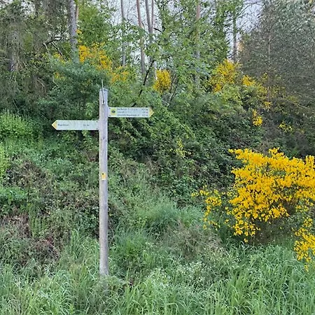 בית נופש Ruim Familiehuis - 10 Pers - Nabij Cochem-zell, De Moezel & Calmont Klettersteig *