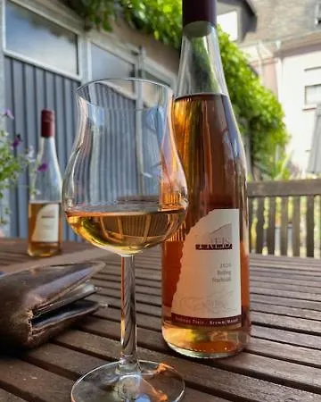 Ruim Familiehuis - 10 Pers - Nabij Cochem-zell, De Moezel & Calmont Klettersteig