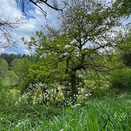 Holiday home Ruim Familiehuis - 10 Pers - Nabij Cochem-zell, De Moezel & Calmont Klettersteig