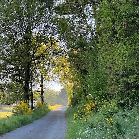 בית נופש Ruim Familiehuis - 10 Pers - Nabij Cochem-zell, De Moezel & Calmont Klettersteig *