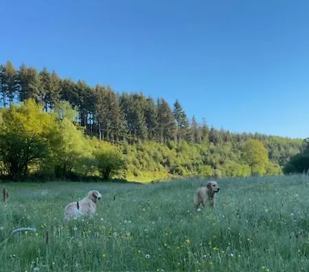 Ruim Familiehuis - 10 Pers - Nabij Cochem-zell, De Moezel & Calmont Klettersteig Beuren (Cochem-Zell)