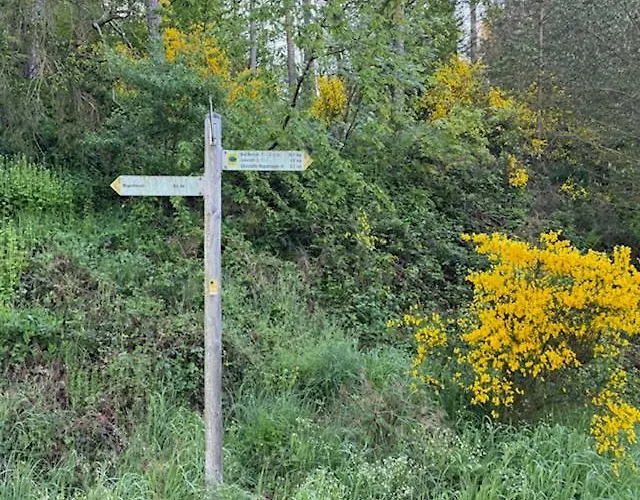Casa de Férias Ruim Familiehuis - 10 Pers - Nabij Cochem-zell, De Moezel & Calmont Klettersteig *