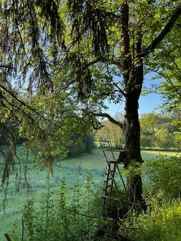 Ruim Familiehuis - 10 Pers - Nabij Cochem-zell, De Moezel & Calmont Klettersteig *