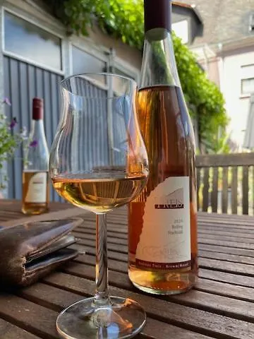 Ruim Familiehuis - 10 Pers - Nabij Cochem-zell, De Moezel & Calmont Klettersteig