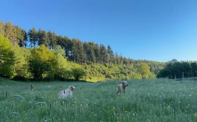 Ruim Familiehuis - 10 Pers - Nabij Cochem-zell, De Moezel & Calmont Klettersteig Casa de Férias