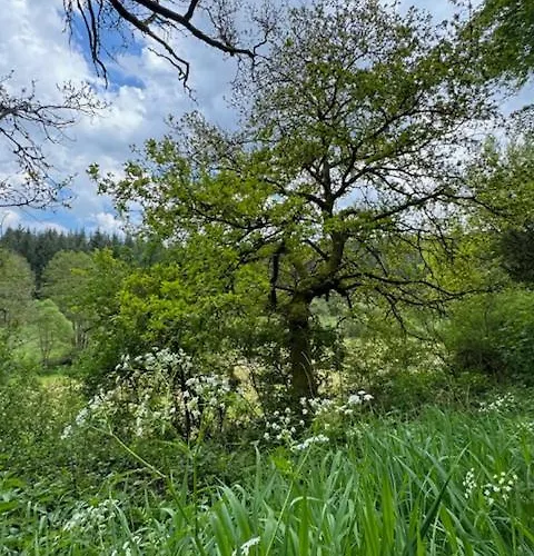 Casa de Férias Ruim Familiehuis - 10 Pers - Nabij Cochem-zell, De Moezel & Calmont Klettersteig