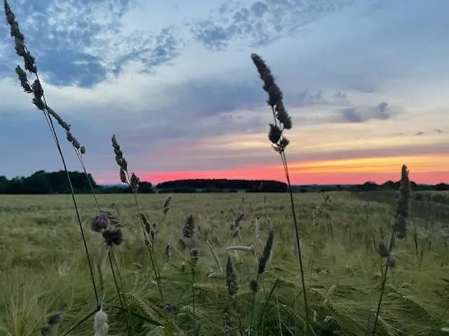 Ruim Familiehuis - 10 Pers - Nabij Cochem-zell, De Moezel & Calmont Klettersteig Casa de Férias *
