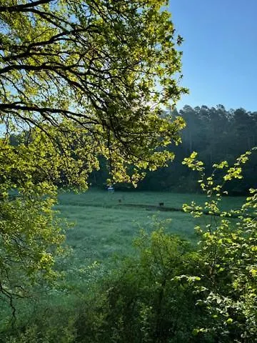 Ruim Familiehuis - 10 Pers - Nabij Cochem-zell, De Moezel & Calmont Klettersteig Casa de Férias Beuren (Cochem-Zell)