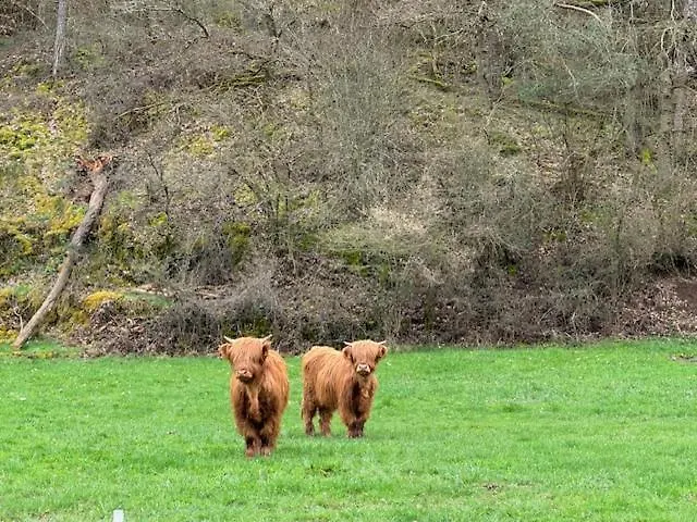 Ruim Familiehuis - 10 Pers - Nabij Cochem-zell, De Moezel & Calmont Klettersteig Beuren (Cochem-Zell)