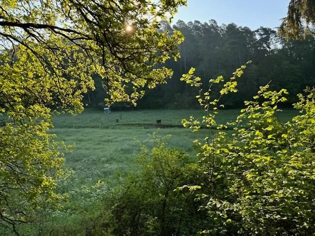 Ruim Familiehuis - 10 Pers - Nabij Cochem-zell, De Moezel & Calmont Klettersteig * Beuren (Cochem-Zell)