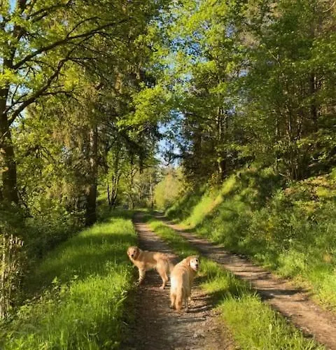 Ruim Familiehuis - 10 Pers - Nabij Cochem-zell, De Moezel & Calmont Klettersteig *