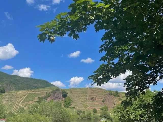 Ruim Familiehuis - 10 Pers - Nabij Cochem-zell, De Moezel & Calmont Klettersteig Casa de Férias *