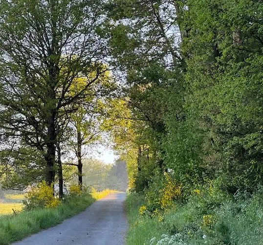 Casa de Férias Ruim Familiehuis - 10 Pers - Nabij Cochem-zell, De Moezel & Calmont Klettersteig *